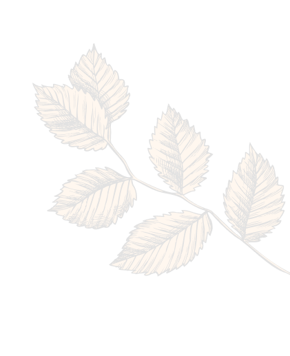decoration