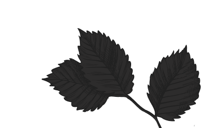 Decoration